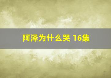 阿泽为什么哭 16集